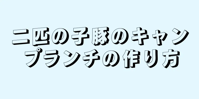 二匹の子豚のキャンプランチの作り方