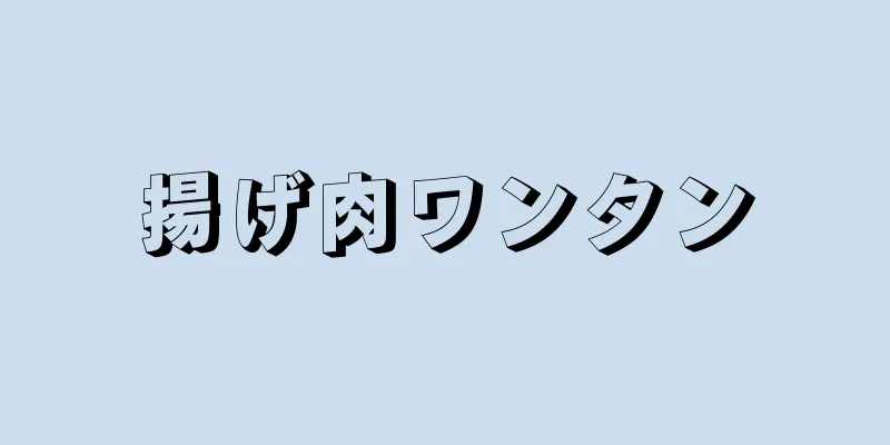 揚げ肉ワンタン