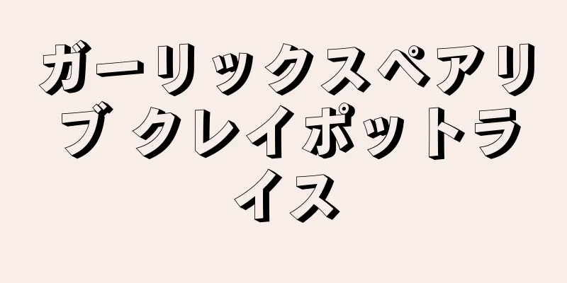 ガーリックスペアリブ クレイポットライス