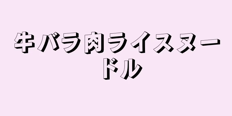 牛バラ肉ライスヌードル