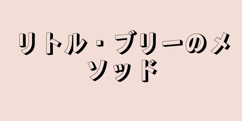 リトル・ブリーのメソッド