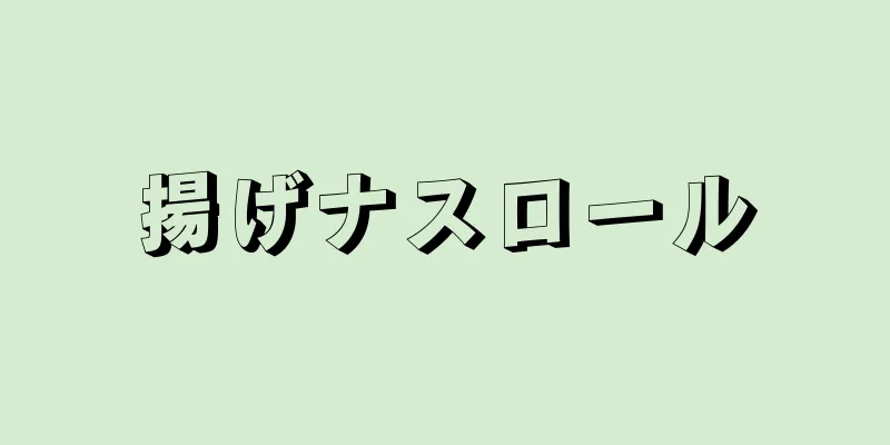 揚げナスロール