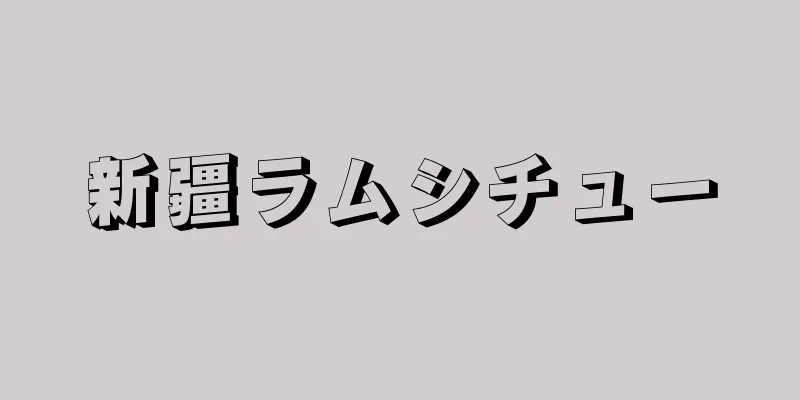 新疆ラムシチュー