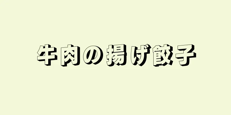 牛肉の揚げ餃子