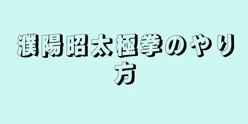 濮陽昭太極拳のやり方