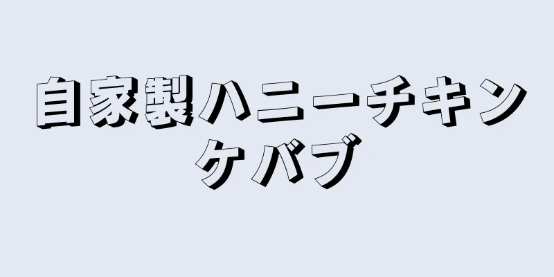 自家製ハニーチキンケバブ