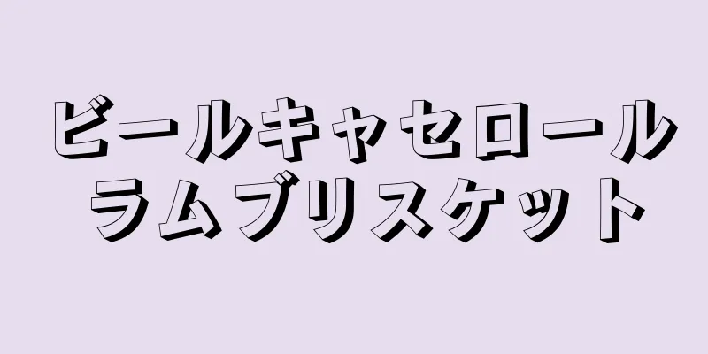 ビールキャセロール ラムブリスケット