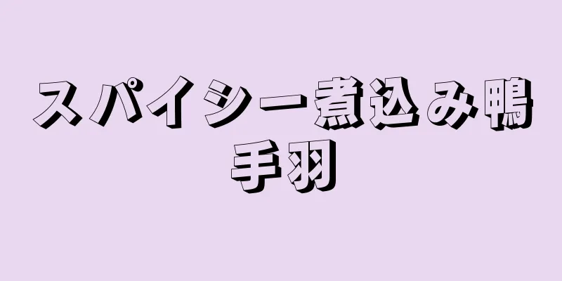 スパイシー煮込み鴨手羽