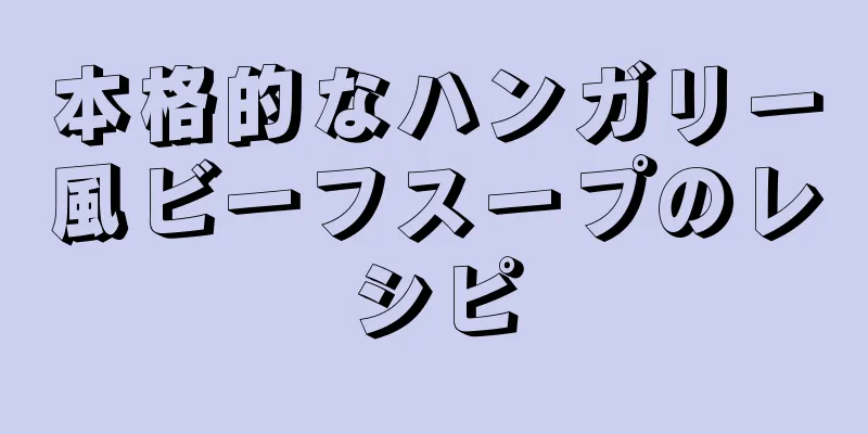 本格的なハンガリー風ビーフスープのレシピ