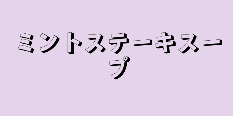 ミントステーキスープ