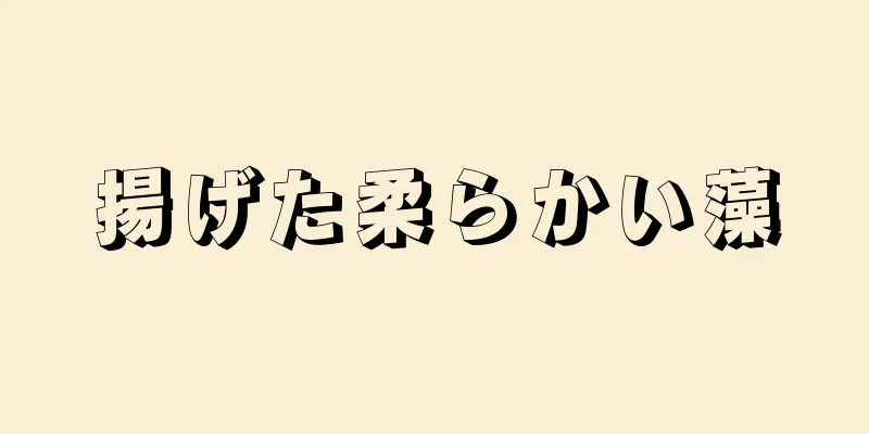 揚げた柔らかい藻