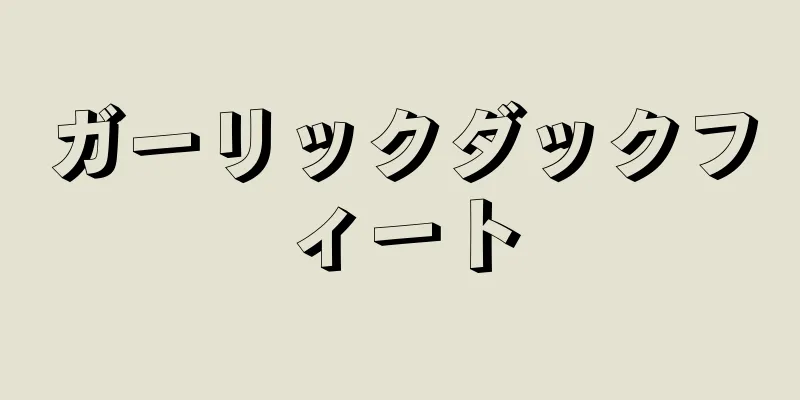 ガーリックダックフィート