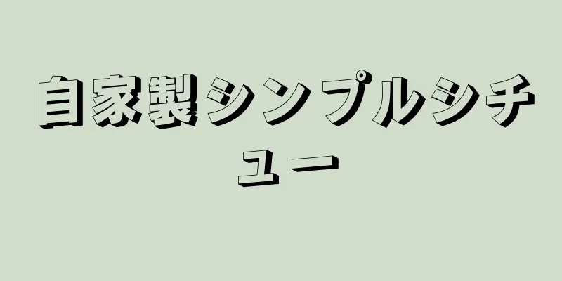 自家製シンプルシチュー