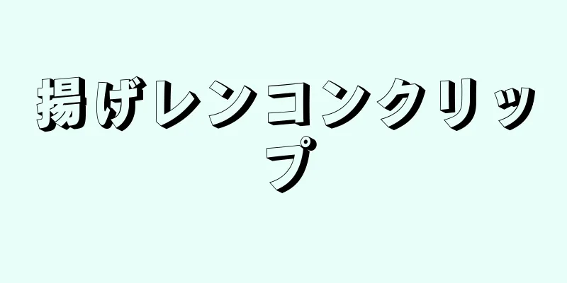 揚げレンコンクリップ