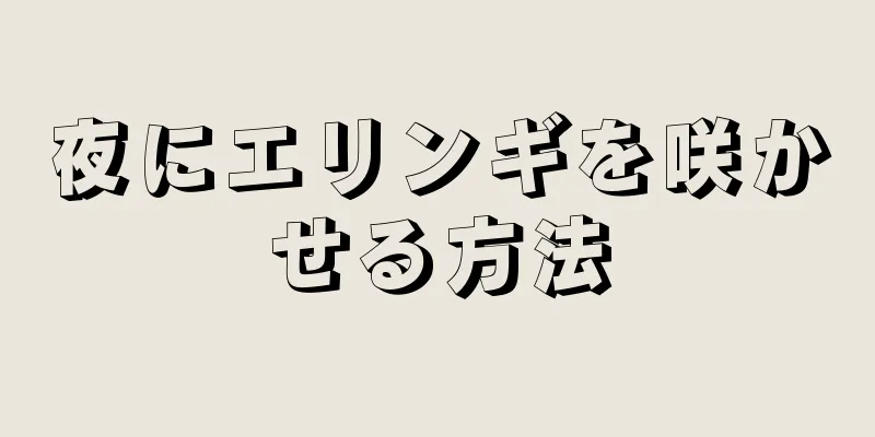 夜にエリンギを咲かせる方法