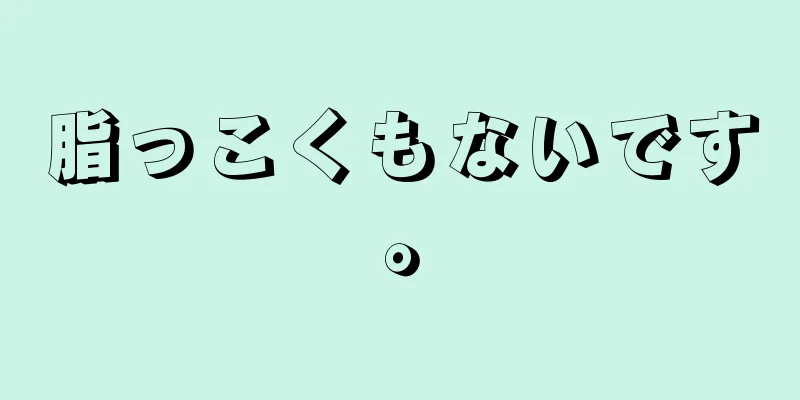 脂っこくもないです。