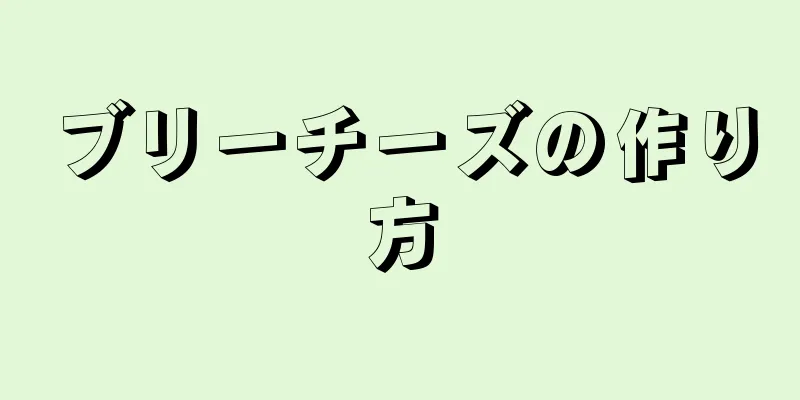 ブリーチーズの作り方