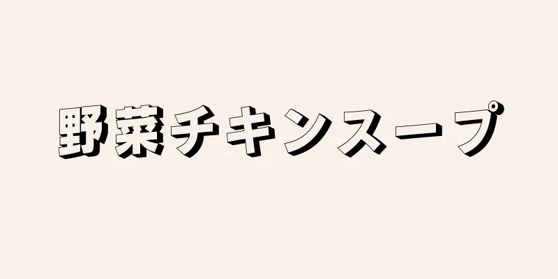 野菜チキンスープ