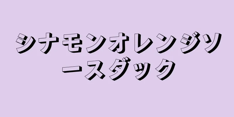 シナモンオレンジソースダック