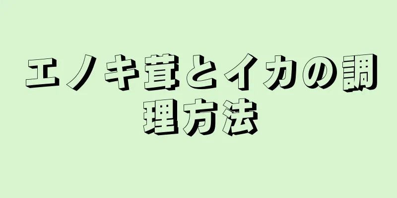 エノキ茸とイカの調理方法