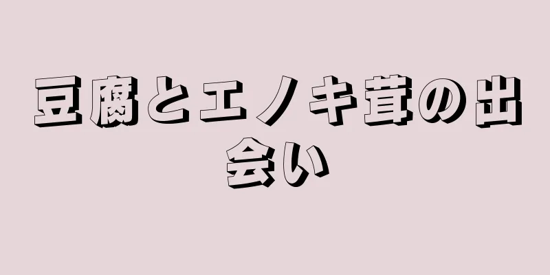 豆腐とエノキ茸の出会い