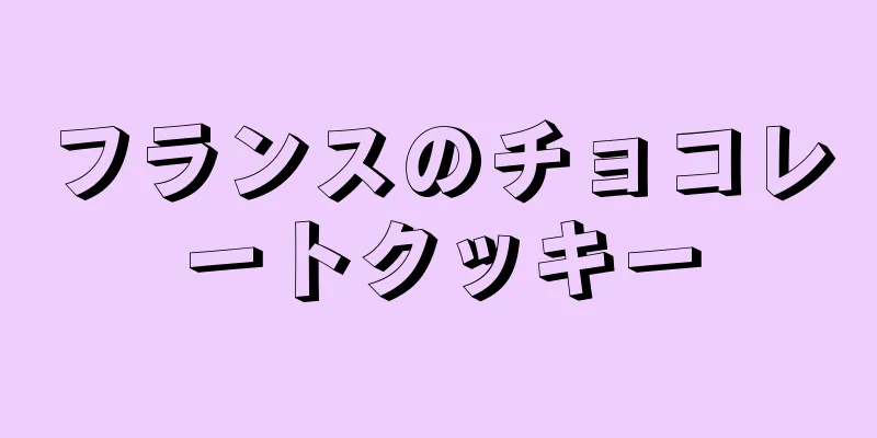 フランスのチョコレートクッキー