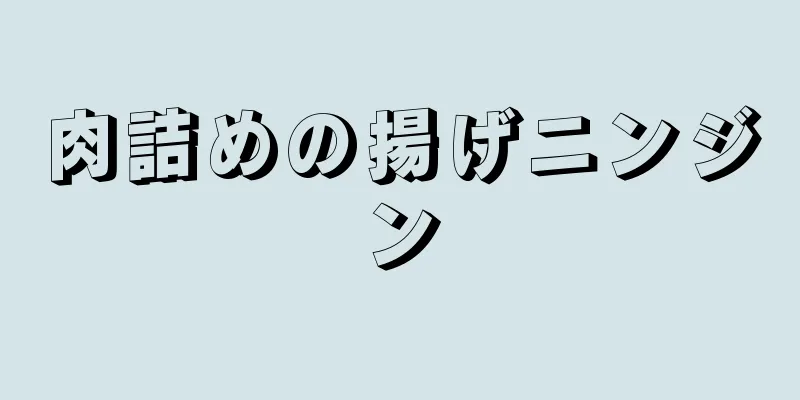 肉詰めの揚げニンジン