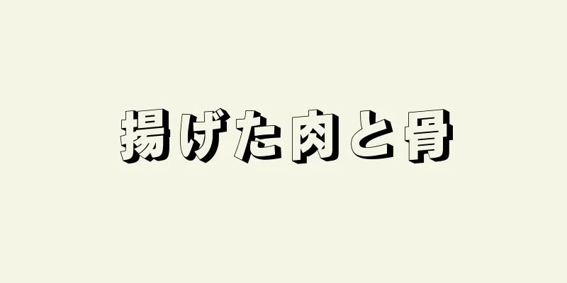 揚げた肉と骨