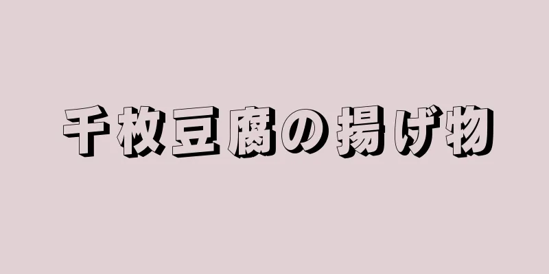 千枚豆腐の揚げ物