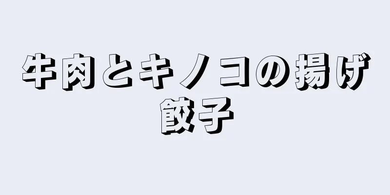 牛肉とキノコの揚げ餃子