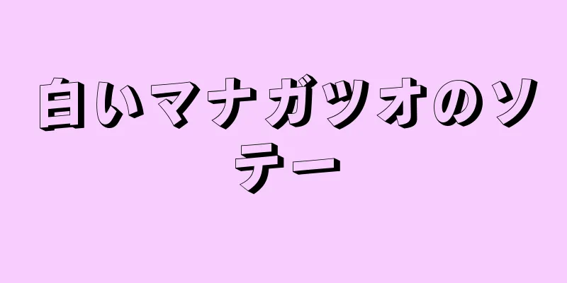 白いマナガツオのソテー