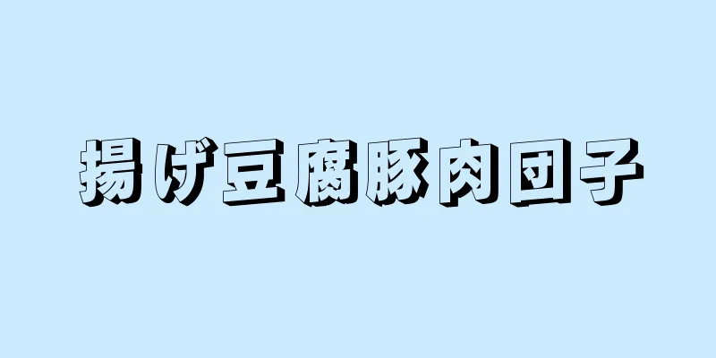 揚げ豆腐豚肉団子