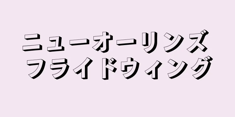 ニューオーリンズ フライドウィング