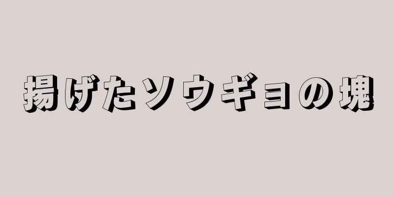 揚げたソウギョの塊