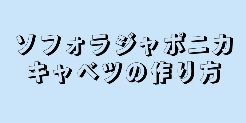 ソフォラジャポニカキャベツの作り方