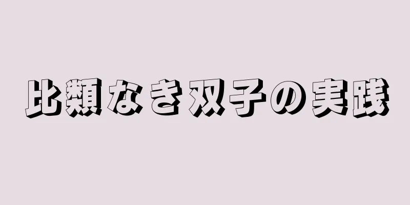 比類なき双子の実践