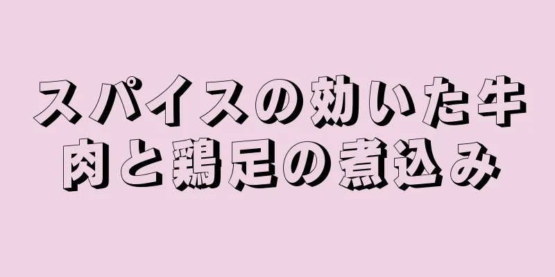 スパイスの効いた牛肉と鶏足の煮込み