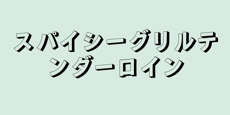 スパイシーグリルテンダーロイン