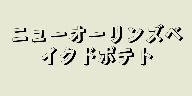 ニューオーリンズベイクドポテト