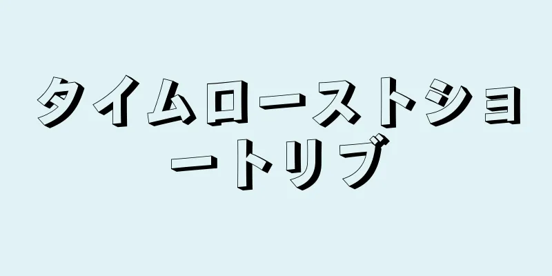 タイムローストショートリブ