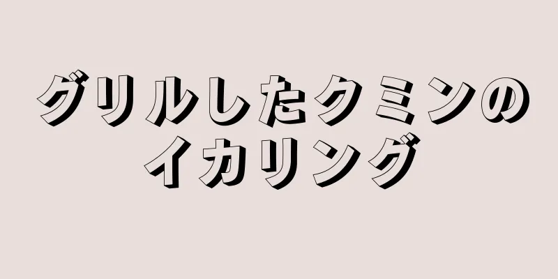 グリルしたクミンのイカリング