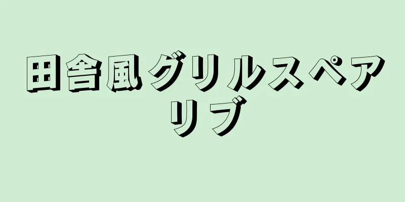 田舎風グリルスペアリブ