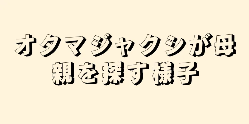 オタマジャクシが母親を探す様子