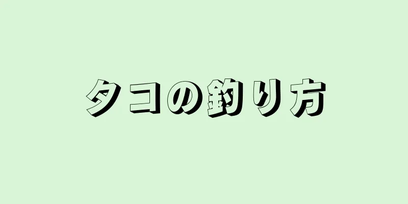 タコの釣り方