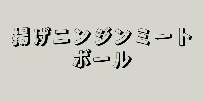 揚げニンジンミートボール