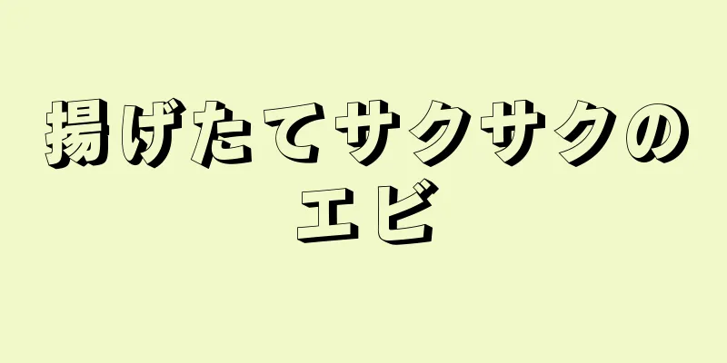 揚げたてサクサクのエビ