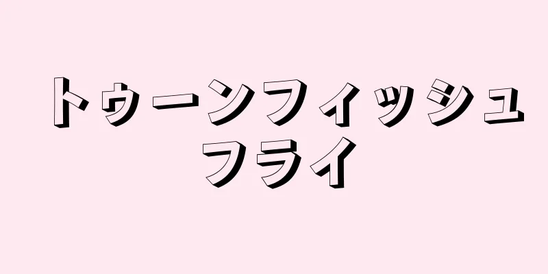 トゥーンフィッシュフライ