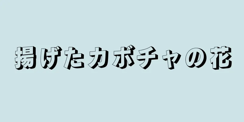 揚げたカボチャの花