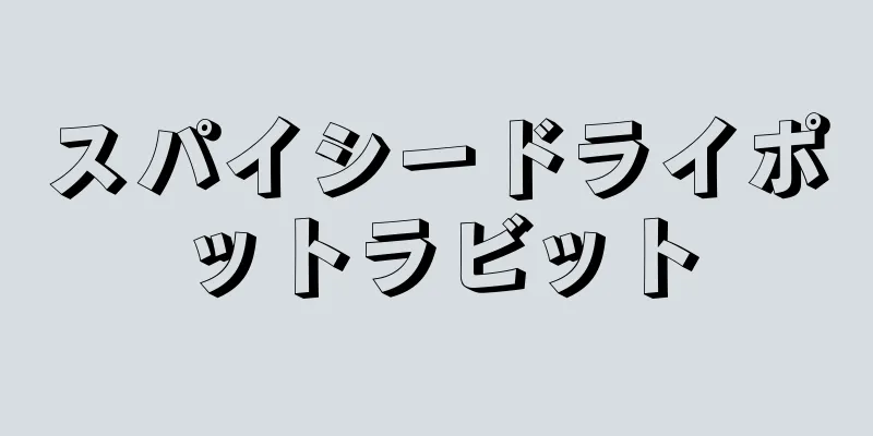 スパイシードライポットラビット