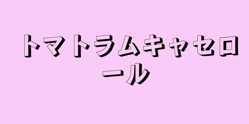 トマトラムキャセロール